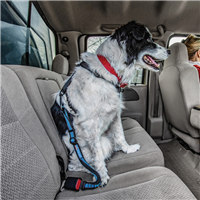 Kurgo Direct to Seatbelt Bungee Tether
