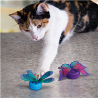 KONG Cat Active Capz 2pk