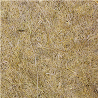 F.M. Brown&lsquo;s Tropical Carnival Natural Behavior Hemp Bio Cage Mat