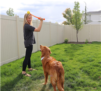 Flingerz Original Treat Holding Fetch Toy