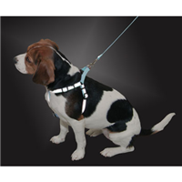 LaZer Brite ™ Reflective Adjustable Collars, Leashes and Harnesses 20011B