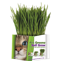 Pet Greens Garden Pet Grass Self-Grow Kit