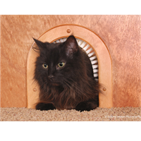 Cat Hole Pet Door 228465
