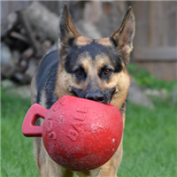 Tug-n-Toss Jolly Pets Jolly Ball 4.5 in.