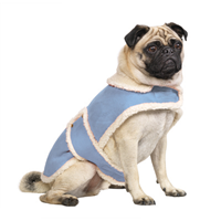 Fashion Pet™ French Blue Faux Suede Shearling Blue Coat Extra Small 62003