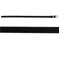 3/8" x 10" Traditional Style Buckle Collar P2999010e