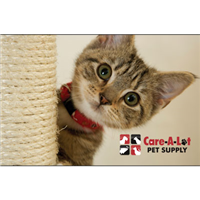 Care-A-Lot® Pet Supply Kitten Gift Cards Kitten Gift Cards