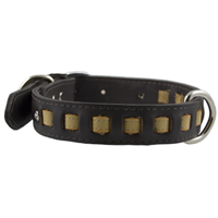 Dream Weave Collar for Dogs 6072b