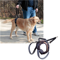 Solvit CareLift Lifting Harness Rear Harness I001227d
