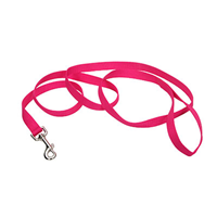 Coastal Single-Ply Dog Leash Pink Flamingo 335712b