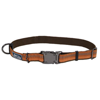 Coastal K9 Explorer Adjustable Reflective Campfire Orange Collar I006392b