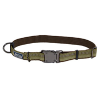 Coastal K9 Explorer Adjustable Reflective Fern Collar I006393b