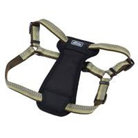 Coastal K9 Explorer Reflective Adjustable Padded Dog Harness Fern I006406e
