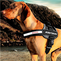 EzyDog Convert Harness I008421b