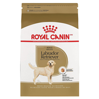 Royal Canin® Labrador Retriever 30™ Dog Kibble 30 lbs. 112035