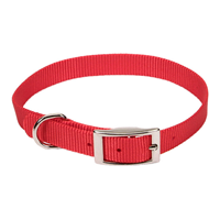 Coastal Traditonal Single Ply Dog Collar Red 29991122e