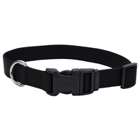 Coastal Adjustable Dog Collar with Plastic Buckle Black 3/4" x 14"-20"  33031