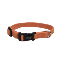 Coastal New Earth Soy Adjustable Pumpkin Dog Collar I001145