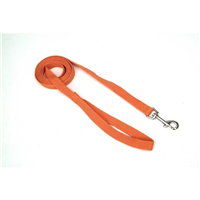 Coastal New Earth Soy Pumpkin Lead I001167b