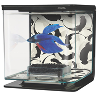 Marina Betta Aquarium Kit Ying & Yang I002345