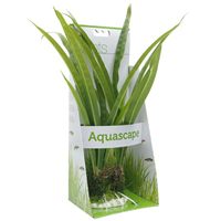 Fluval Bamboo Shoots Plant 14" I003740