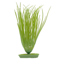 Marina AquaScaper Hairgrass Plant I003755b