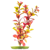 Marina AquaScaper Red Ludwigia Plant I003758b