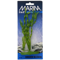 Marina AquaScaper Corskcrew Vallisneria  I003753