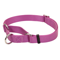 Coastal No Slip Adjustable Nylon Dog Collar Orchid 1" x 17"-24"  I006314