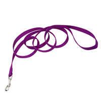 Coastal Traditional Single-Ply Dog Leash Orchid  I006253b