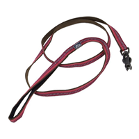 Coastal K9 Explorer Reflective Dog Leash with Scissor Snap 5/8” x 6’ Berry  I006366