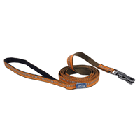 Coastal K9 Explorer Reflective Dog Leash with Scissor Snap 5/8” x 6’ Campfire  I006367