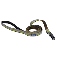 Coastal K9 Explorer Reflective Dog Leash with Scissor Snap 5/8” x 6’ Fern  I006368