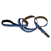 Coastal K9 Explorer Reflective Dog Leash with Scissor Snap 5/8” x 6’ Sapphire I006369