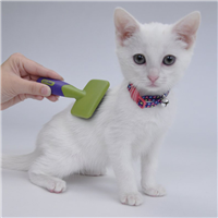 Coastal Li&lsquo;l Pals Kitten Slicker with Coated Tips