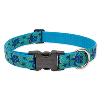 Lupine® Turtle Reef Patterned Collars and Leads I009456b