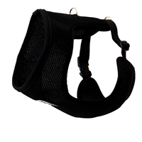 RC Pet Products Step-In Cirque Harness Black  I009758e