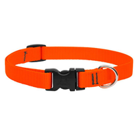 Lupine® Basics Adjustable Dog Collar Blaze Orange I009811b