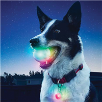 Nite Ize® GlowStreak™ LED Ball I010514