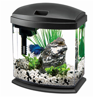 Aqueon MiniBow Blue Aquarium Kit 1 gal. I010526