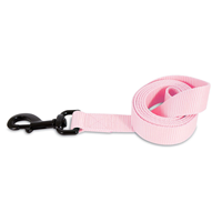 Petmate Aspen Pet Hot Pink Glow in the Dark Lead 1" x 4&lsquo; I010930