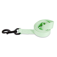 Petmate® Aspen Pet® Green Glow in the Dark Collars and Leashes I010931b