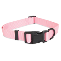 Petmate® Aspen Pet® Hot Pink Glow in the Dark Collars and Leashes I010930b