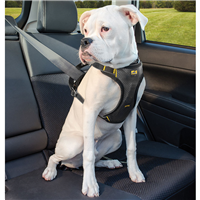 Kurgo® Impact Dog Harness I011145b