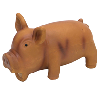 Coastal® Rascals® Latex Grunting Pig I011635b