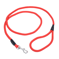 Coastal Rope Leash Red 6&lsquo; I012205