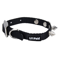 Coastal Lil’ Pals Spiked Nylon Dog Collar  I012212