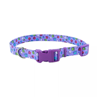 Coastal Adjustable Dog Collar with Buckle Special Paws 5/8" x 10"-14"  I012431