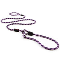EzyDog Luca Leash Standard Purple I014225