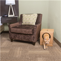 Petsafe Disposable Litter Box With Premium crystal litter 4.5 lbs.